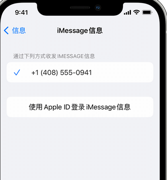 雨湖apple维修iPhone上无法正常发送iMessage信息 