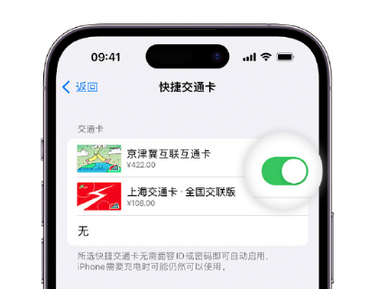 雨湖apple维修点分享iPhone上更换Apple Pay快捷交通卡手绘卡面 