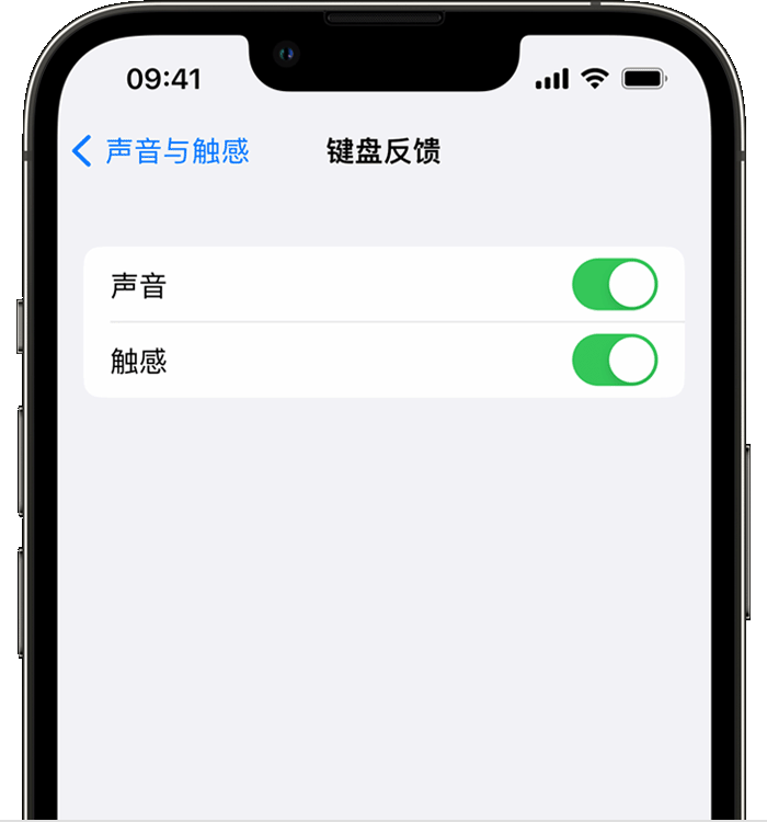 雨湖苹果14维修店分享如何在 iPhone 14 机型中使用触感键盘 