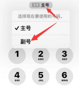 雨湖苹果14维修店分享iPhone 14 Pro Max使用副卡打电话的方法 