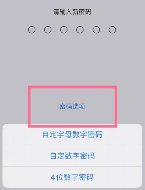 雨湖苹果14维修分享iPhone 14plus设置密码的方法 