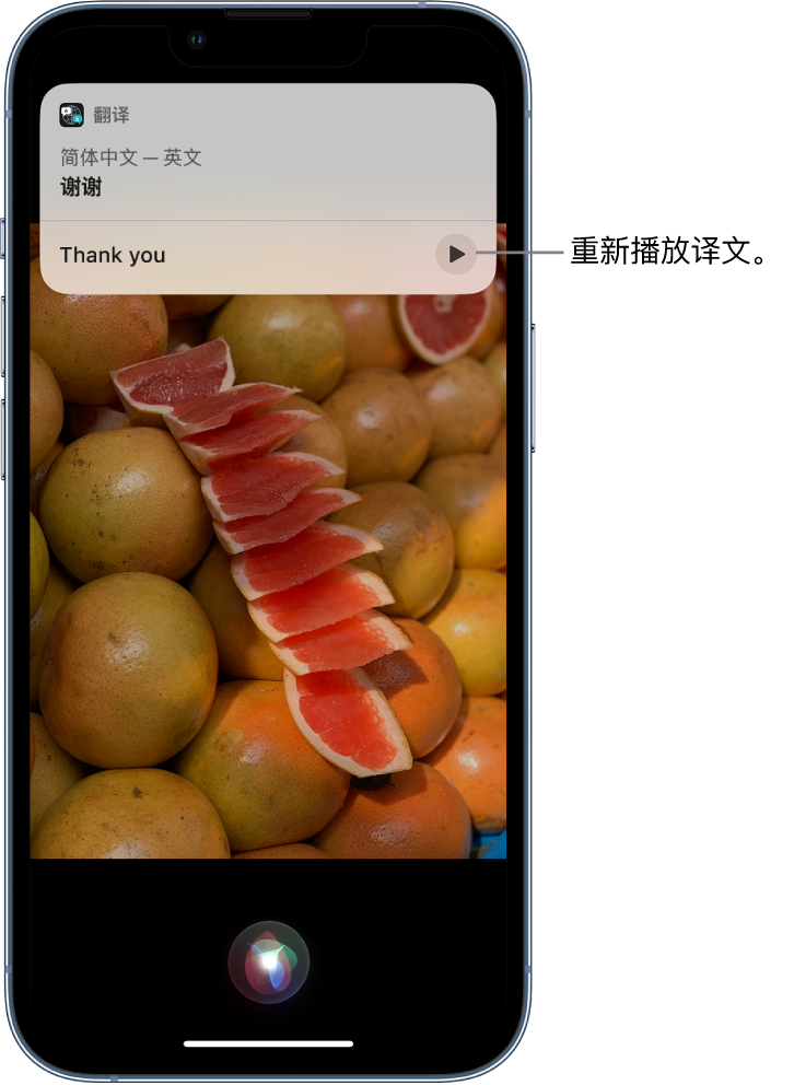 雨湖苹果14维修分享 iPhone 14 机型中使用 Siri：了解 Siri 能帮你做什么 