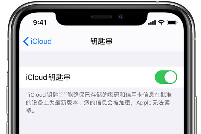 雨湖苹果手机维修分享在 iPhone 上开启 iCloud 钥匙串之后会储存哪些信息 