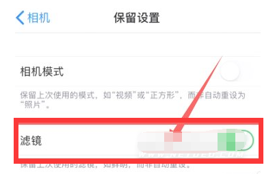 雨湖苹果13维修分享iPhone13拍照有绿点是怎么回事 