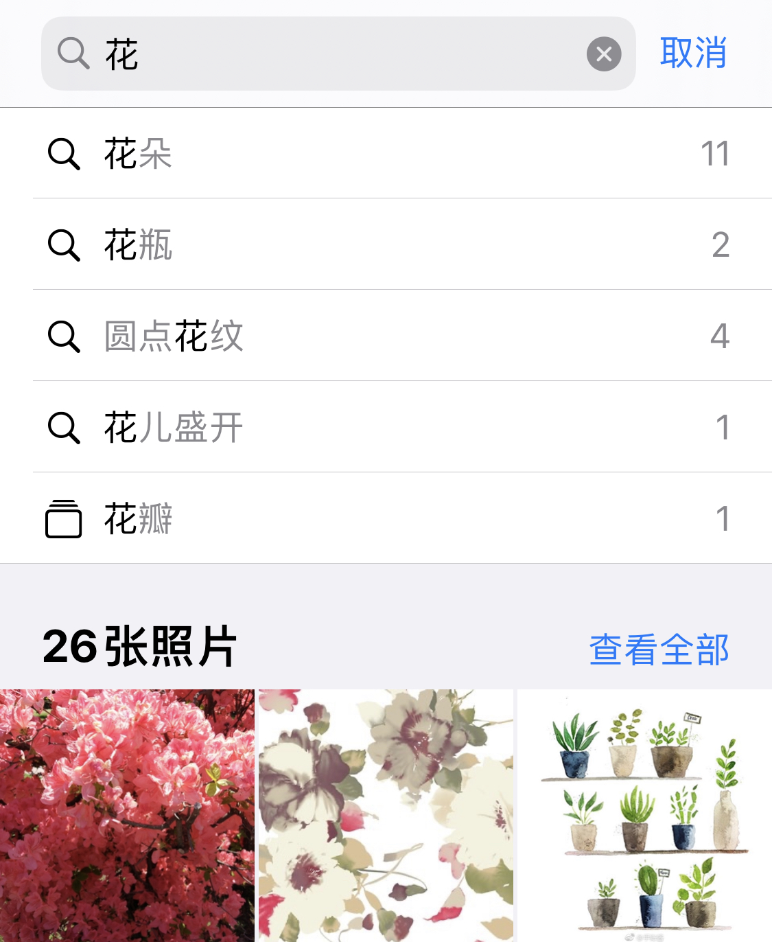 雨湖苹果手机维修分享iPhone 小技巧 