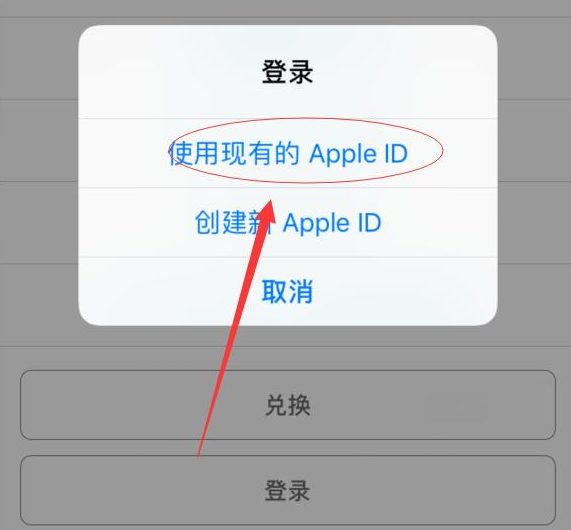 雨湖苹果手机维修分享两台iPhone设备可以同时登录一个Apple ID吗 
