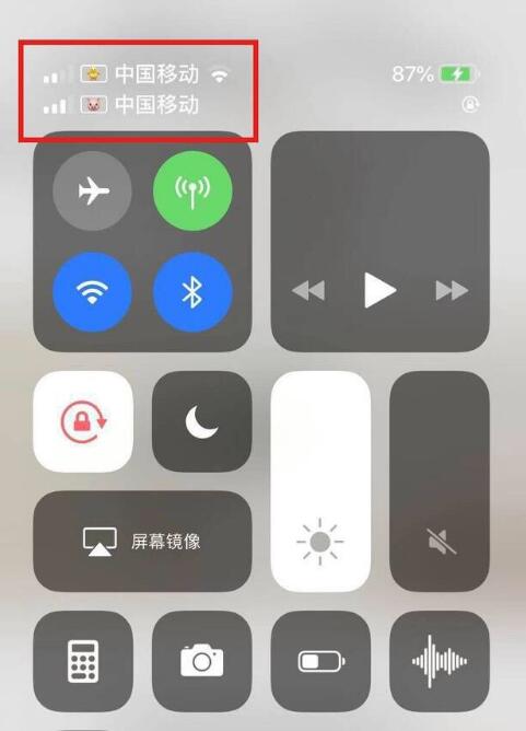 雨湖苹果手机维修分享为 iPhone 12 双卡设置标签 