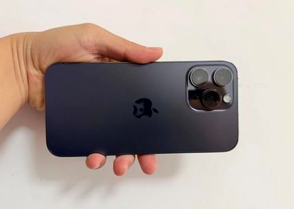 雨湖苹果维修点分享iPhone 14 Pro Max黑屏少见故障盘点 